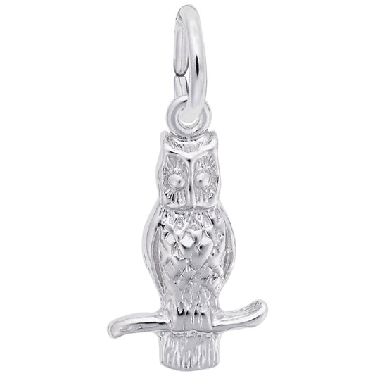 Graduation Long-Eared Owl Charm - Celebrate Your Achievement 0360