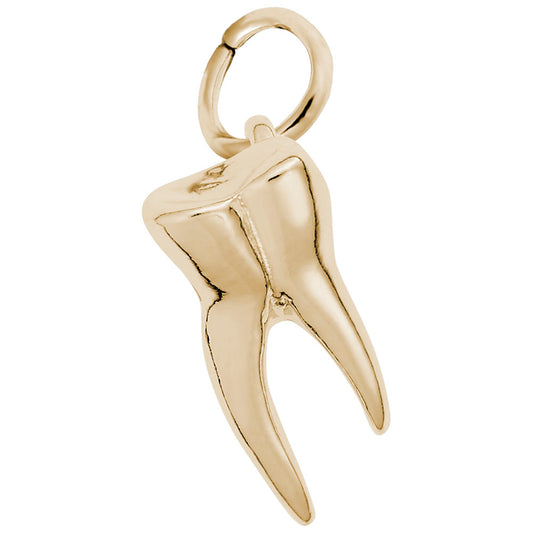 Sterling Silver Tooth Charm for Dental Professionals & Collectors 0643