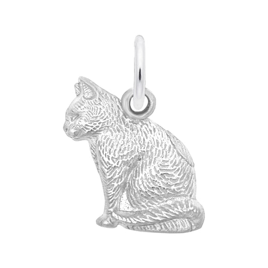 Cat Charm