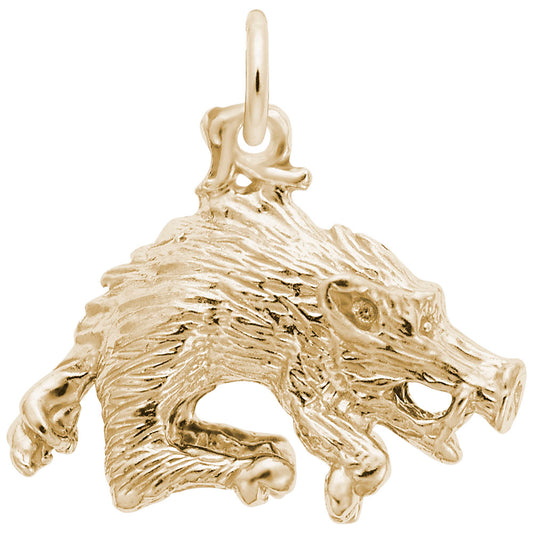 Wild Boar Charm for Arkansas Travel - Unique Souvenir Jewelry 1430