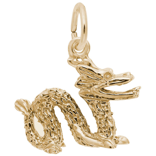 Chinese Serpent Dragon Charm - Mythical Animal Jewelry Accessory 1518
