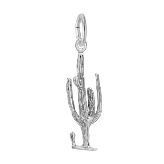 Cactus Charm