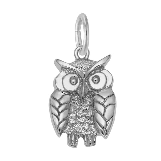 Wise Owl Charm