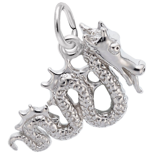 Serpent Dragon Charm