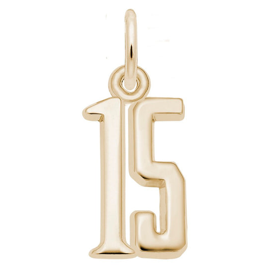 Personalized 'That's My Number' 15 Charm - Customizable Jewelry 1762-015
