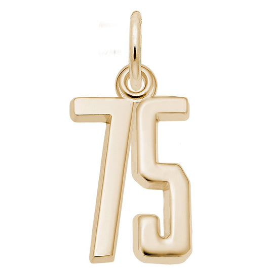 Personalized That's My Number 75 Charm for Unique Jewelry Style 1762-075