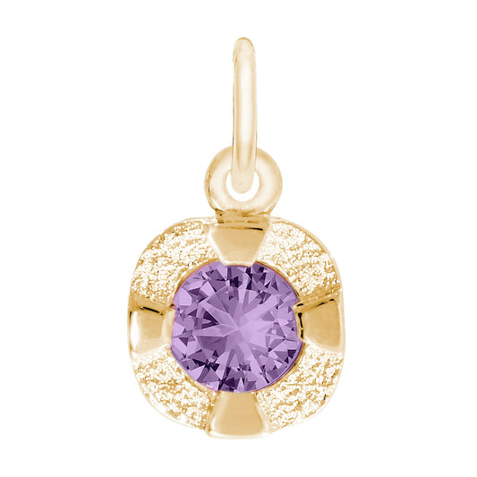 Petite February Birthstone Charm - Amethyst Jewelry for Gifts 1825-002