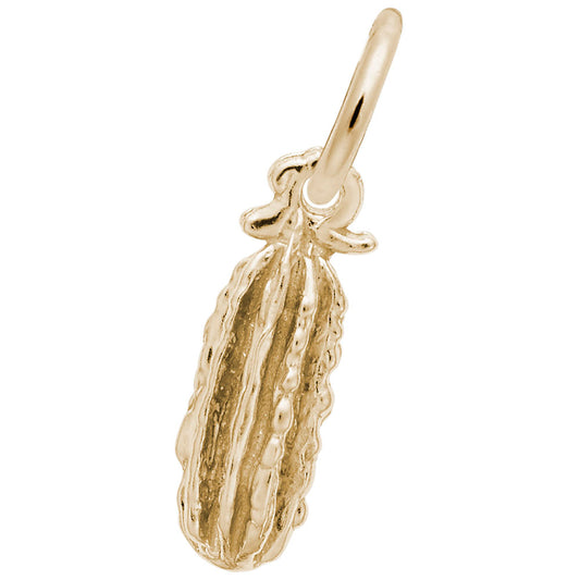 Pickle Charm