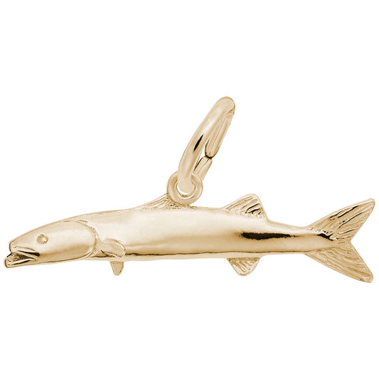 Barracuda Charm