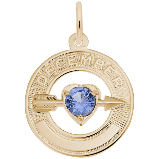 December Birthstone Charm - Love & Family Friendship Jewelry 3342