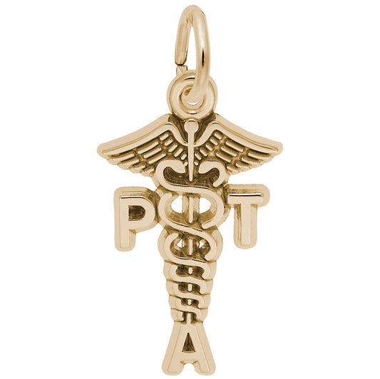 Physical Therapist Assistant Caduceus Charm for Medical Professionals 3566