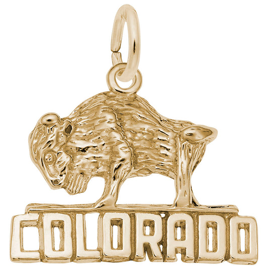 Colorado Bison Charm - Unique Travel Souvenir for Nature Lovers 4088