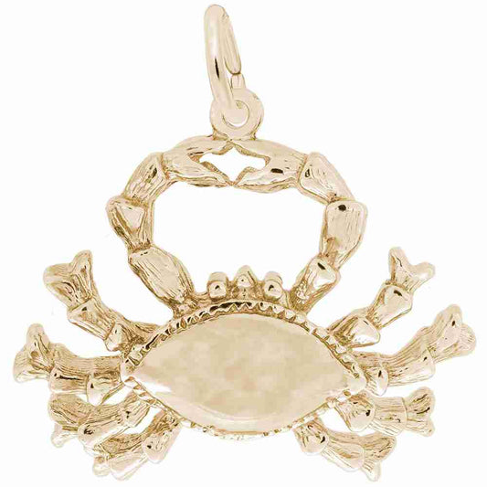 Personalized Cancer Zodiac Charm for Birthday Celebrations 4136