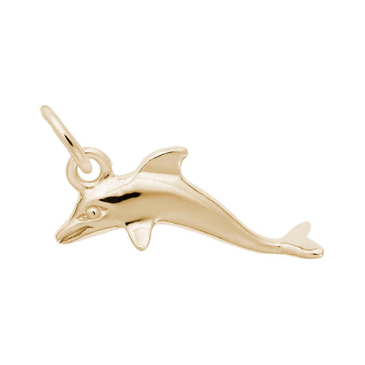 Charming Dolphin Accent Charm for Nautical Jewelry Lovers 5585