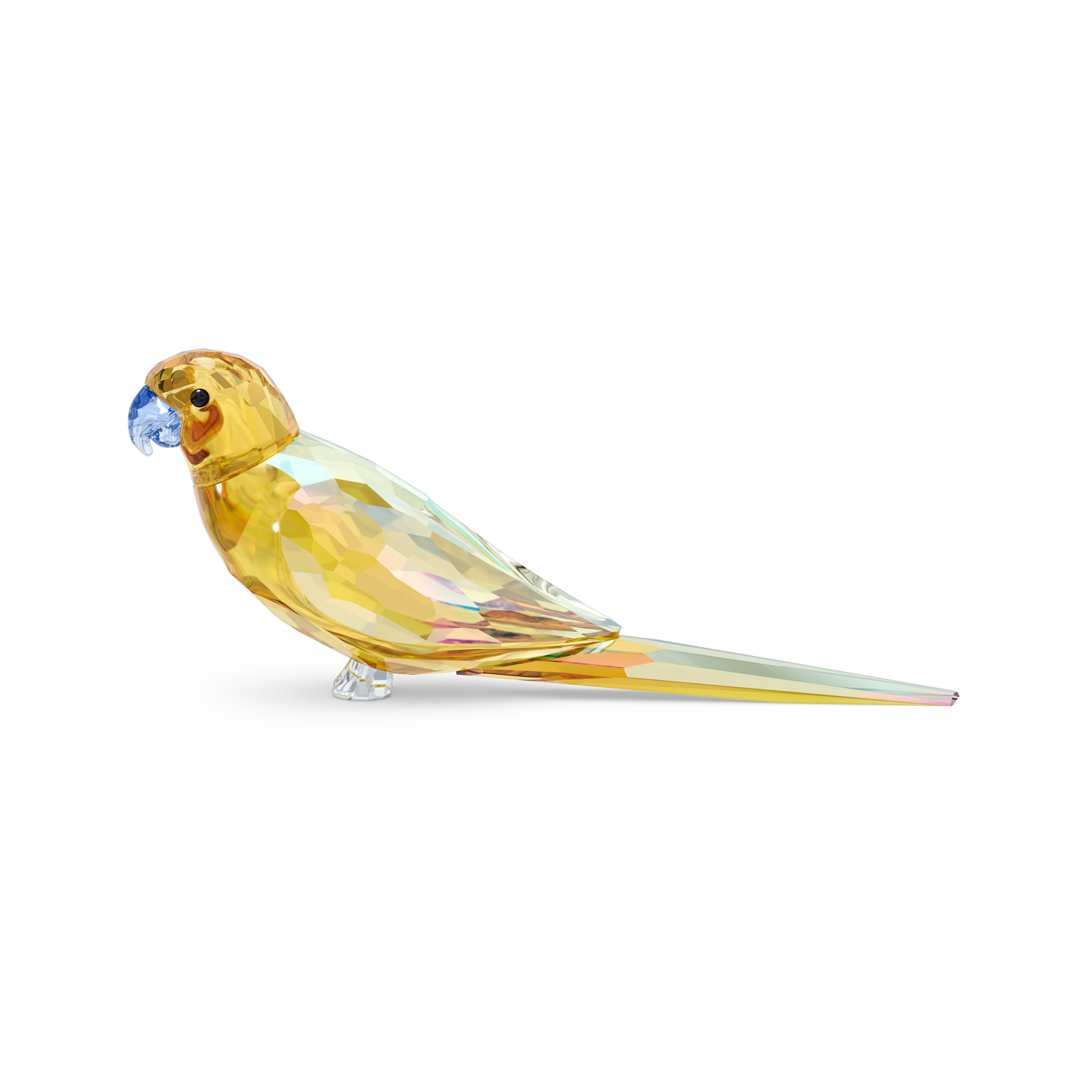 Swarovski Jungle Beats Yellow Parakeet Lechee