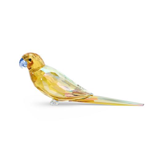 Swarovski Jungle Beats Yellow Parakeet Lechee