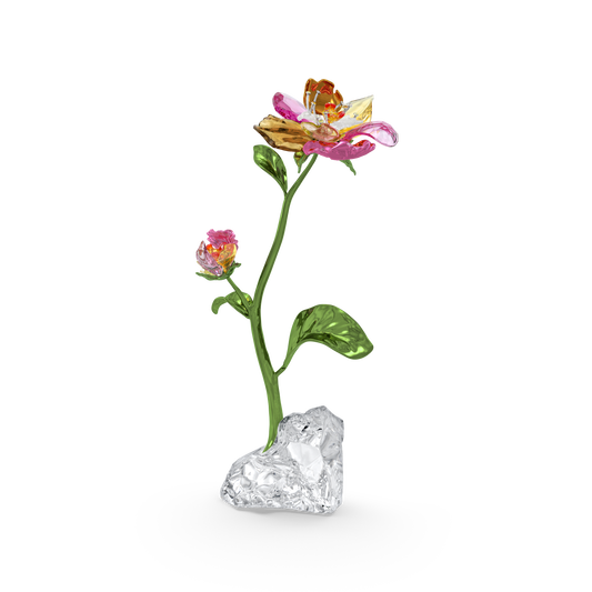Swarovski Idyllia Flower, Large