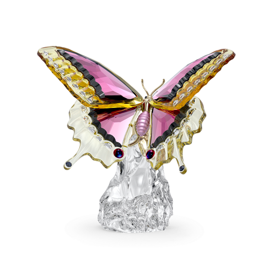 Idyllia Butterfly