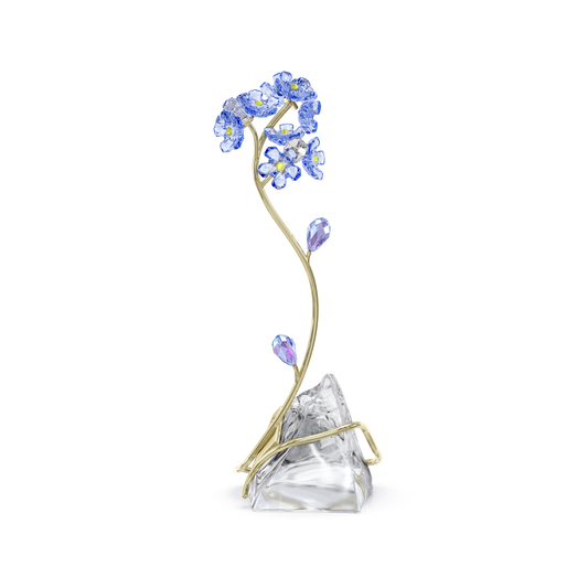 Florere Forget-me-not