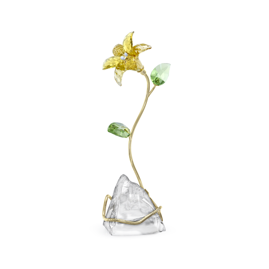 Florere Lily