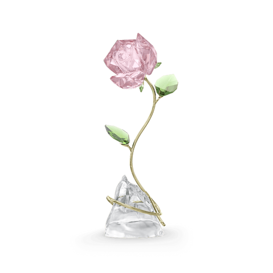 Florere Rose