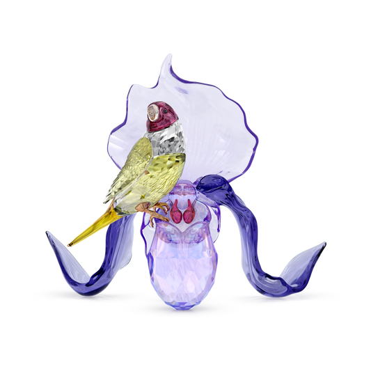 Swarovski Idyllia Gouldian Finch and Orchid