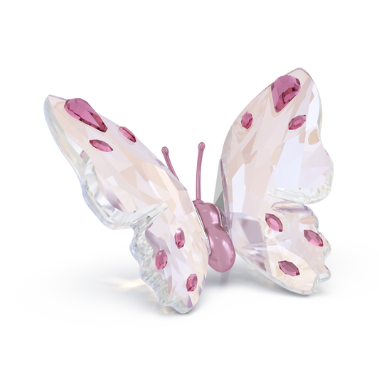 Swarovski Idyllia Butterfly, Small