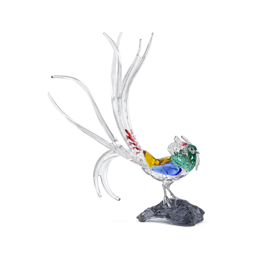 Idyllia SCS Annual Edition 2026 Lady Amherst’s Pheasant