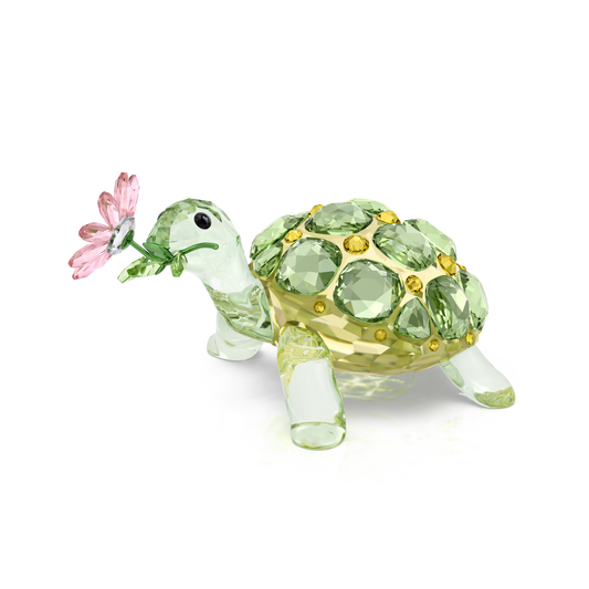 Idyllia Tortoise and Daisy