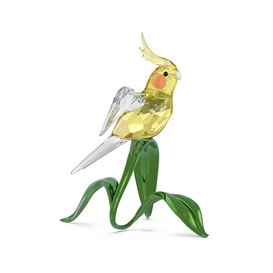Idyllia Cockatiel