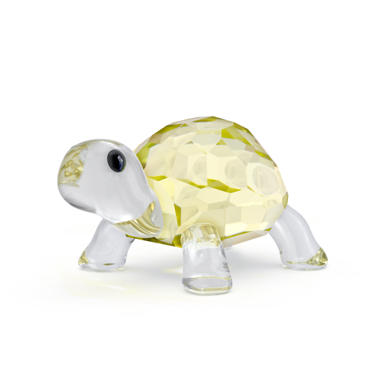 Idyllia Baby Tortoise