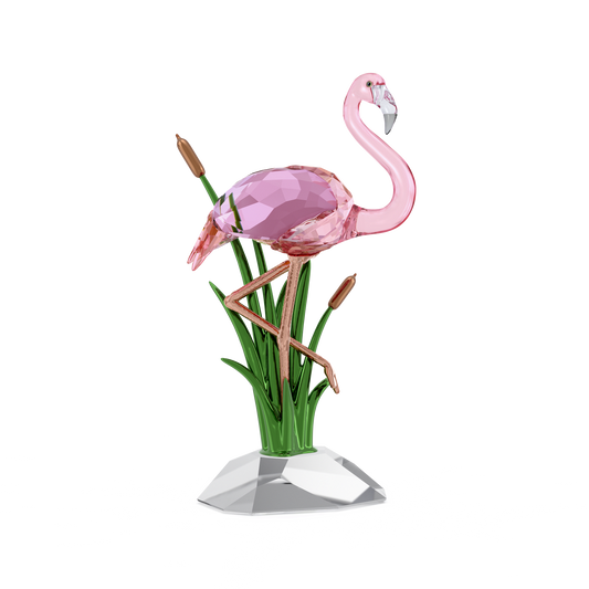 Idyllia Flamingo