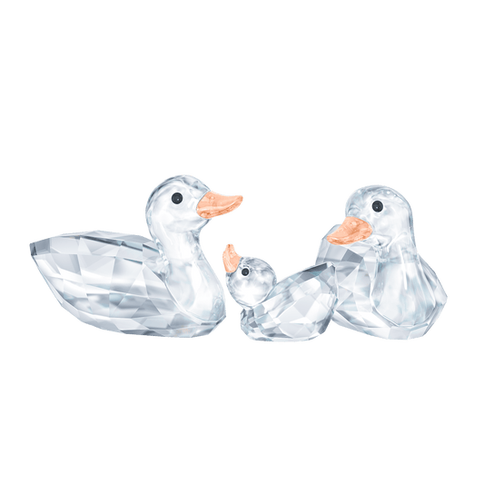 Ducks