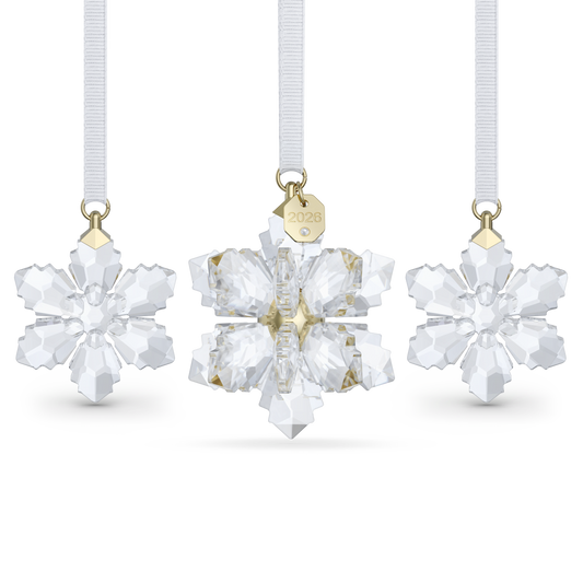 Annual Edition 3D Ornament Set 2026