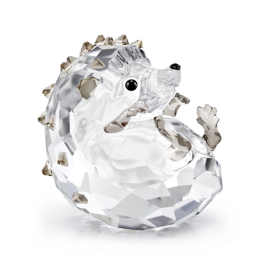 Idyllia Hedgehog