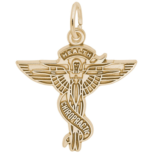 Chiropractic Caduceus Charm - Medical Profession Jewelry Gift 6555