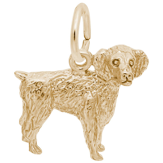 Boykin Spaniel Dog Charm - Adorable Pet Jewelry for Dog Lovers 8476
