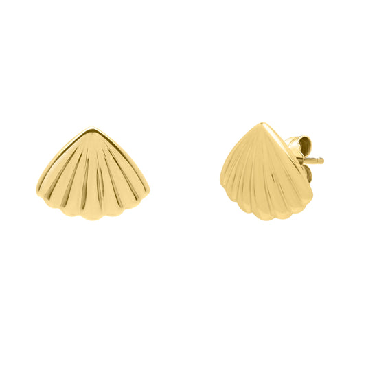 Royal Chain 10K Sea Shell Stud Earring ZE15782