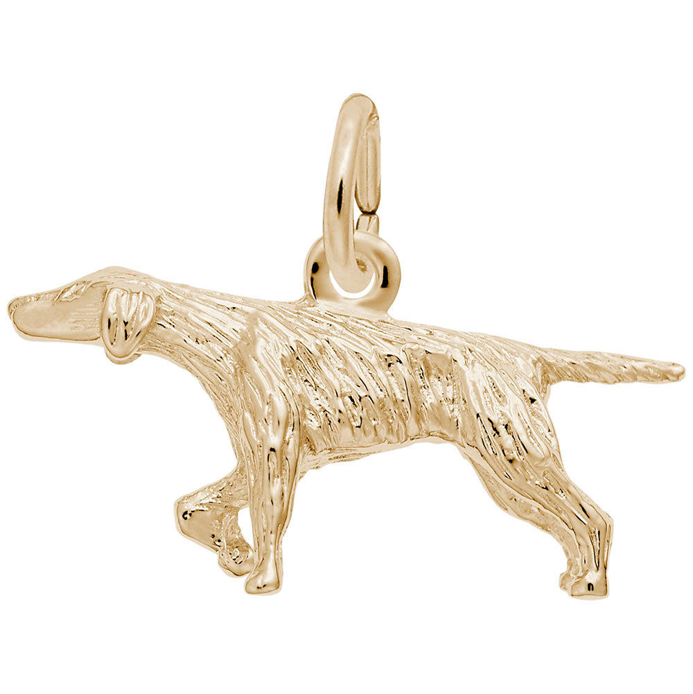 Charming Pointer Dog Charm for Pet Lovers - Unique Jewelry Gift 0148