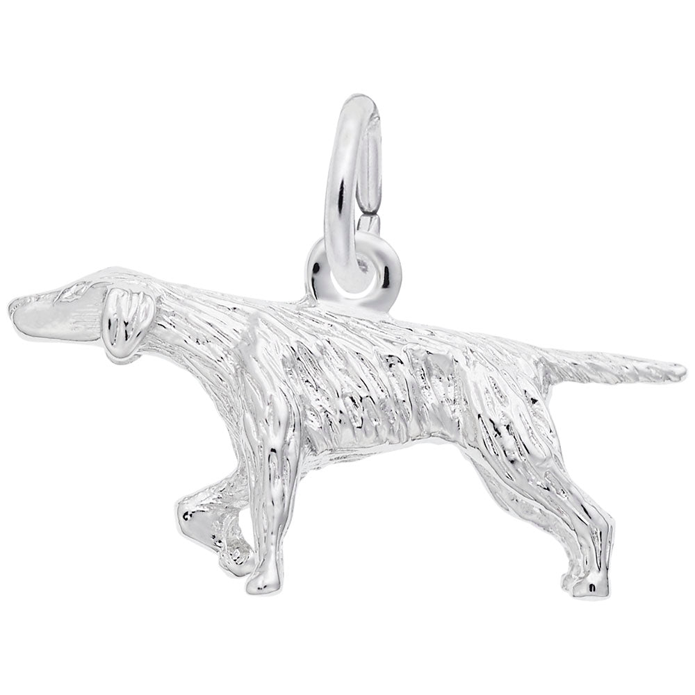 Charming Pointer Dog Charm for Pet Lovers - Unique Jewelry Gift 0148