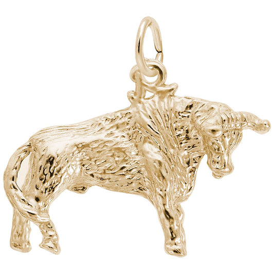 Texas Bull Charm - Unique Travel Souvenir for Texas Lovers 0337