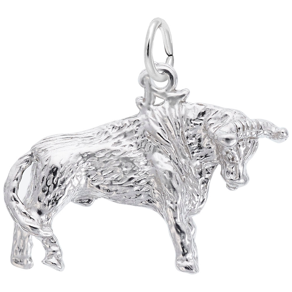 Texas Bull Charm - Unique Travel Souvenir for Texas Lovers 0337