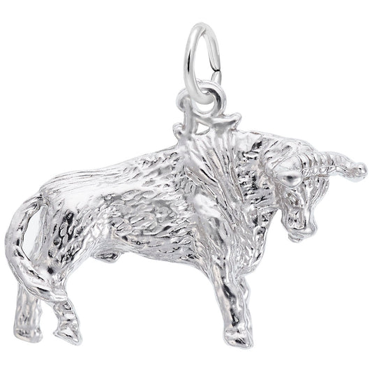 Texas Bull Charm - Unique Travel Souvenir for Texas Lovers 0337