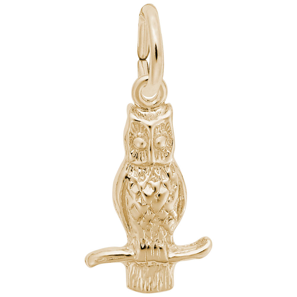 Graduation Long-Eared Owl Charm - Celebrate Your Achievement 0360