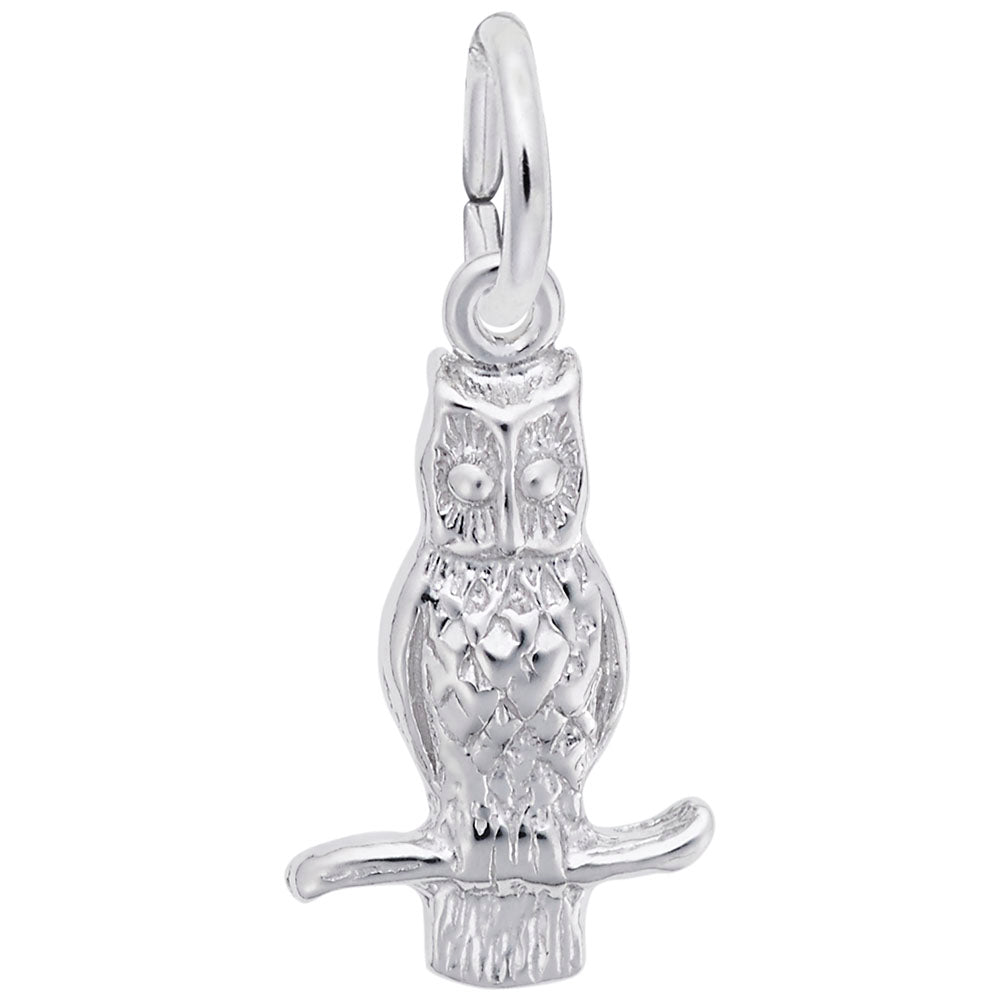 Graduation Long-Eared Owl Charm - Celebrate Your Achievement 0360