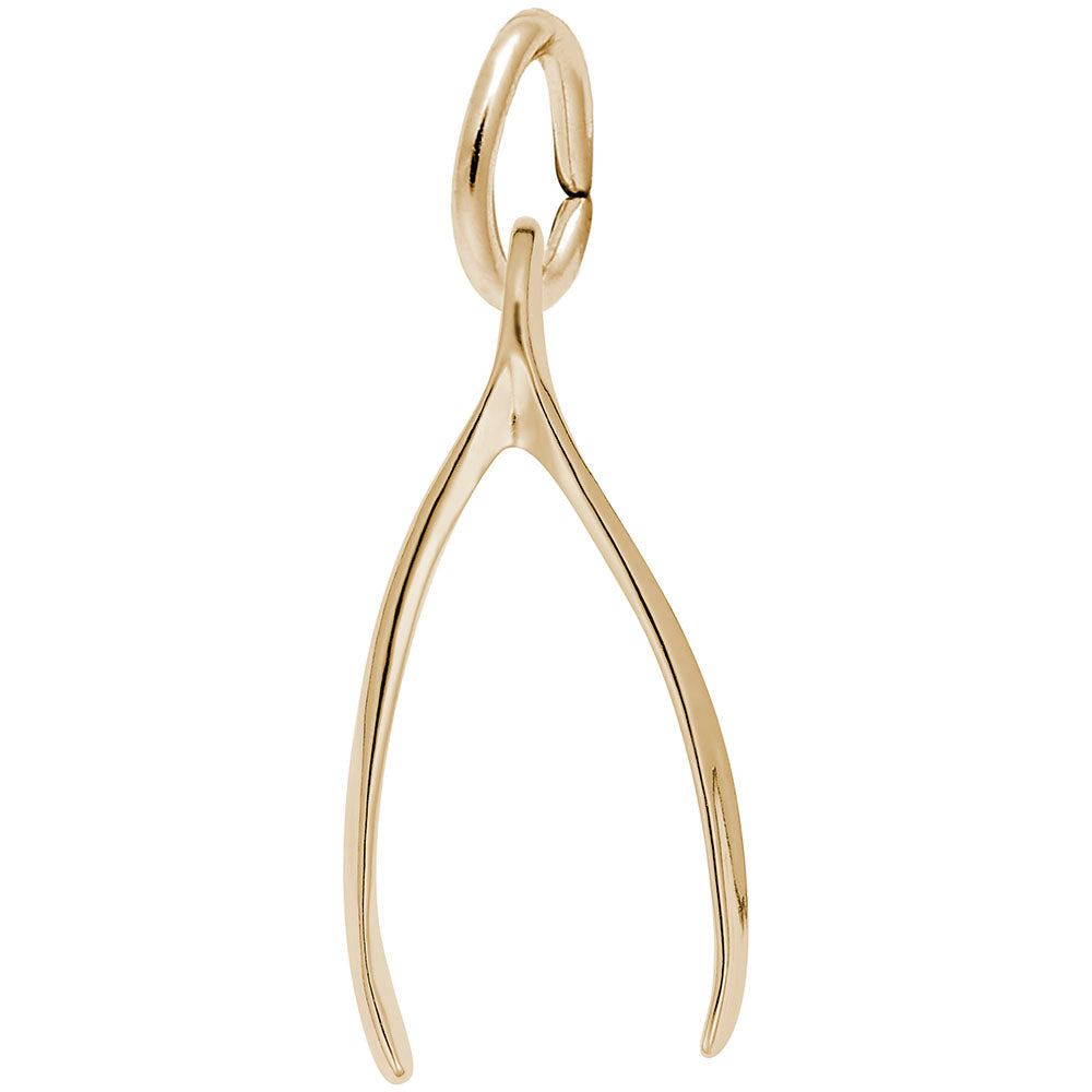 Good Luck Wishbone Charm for Gamers - Rembrandt Charms 0584