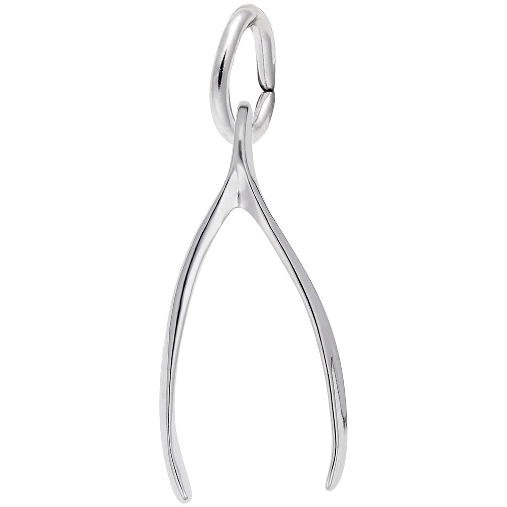 Good Luck Wishbone Charm for Gamers - Rembrandt Charms 0584