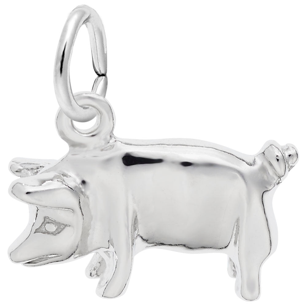 Charming Pig Charm for Animal Lovers - Perfect Zoo Collectible 0604