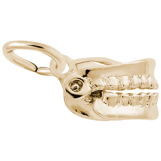 Medical False Teeth Charm for Dental Professionals & Collectors 0642