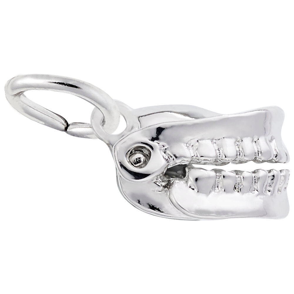 Medical False Teeth Charm for Dental Professionals & Collectors 0642